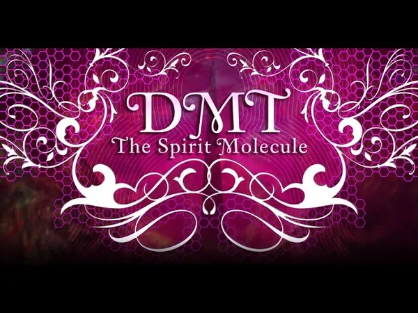DMT: The Spirit Molecule