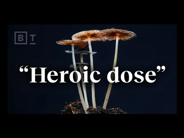 Dr. Matthew Johnson — The "heroic dose" of psychedelics